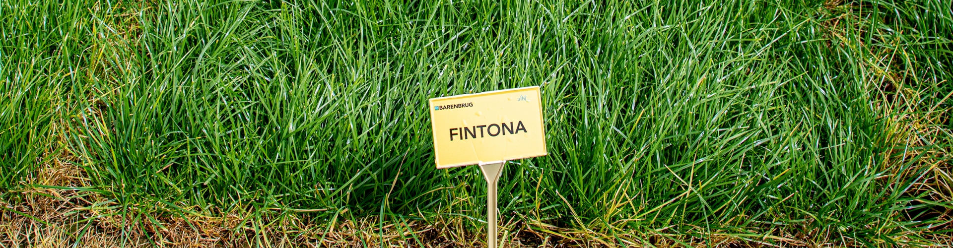 Fintona Agriculture Grass Varieties