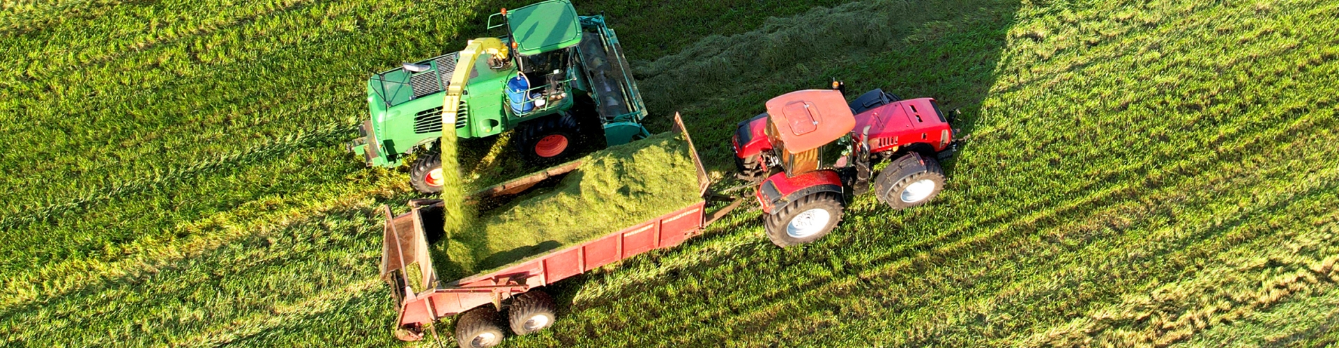 Silage