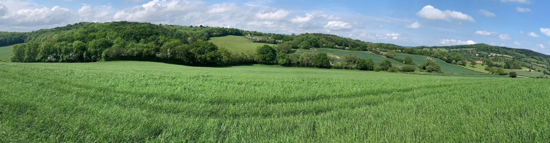 Fieldsman
