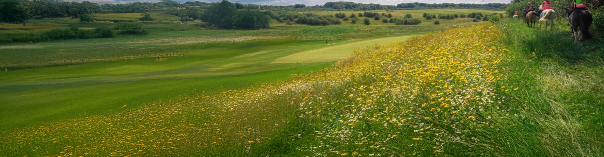 Farleigh Golf Club