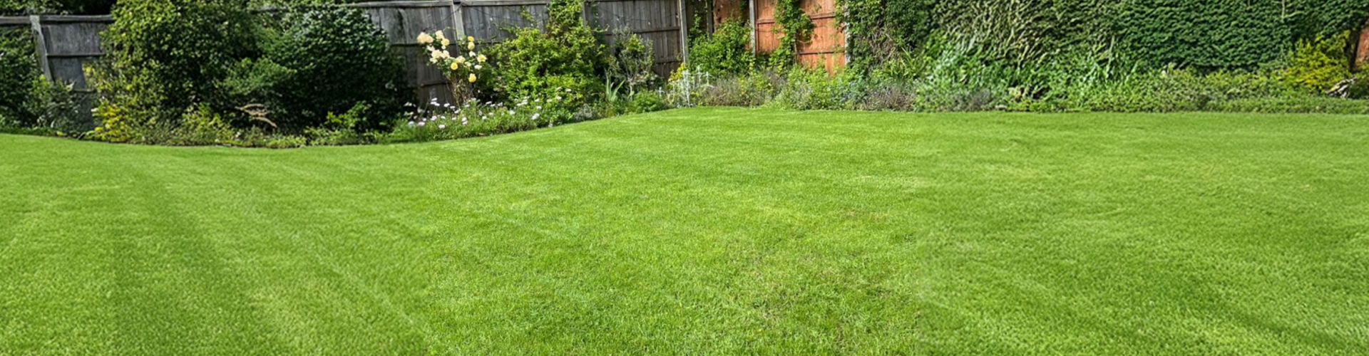 Landscaping Essential E3