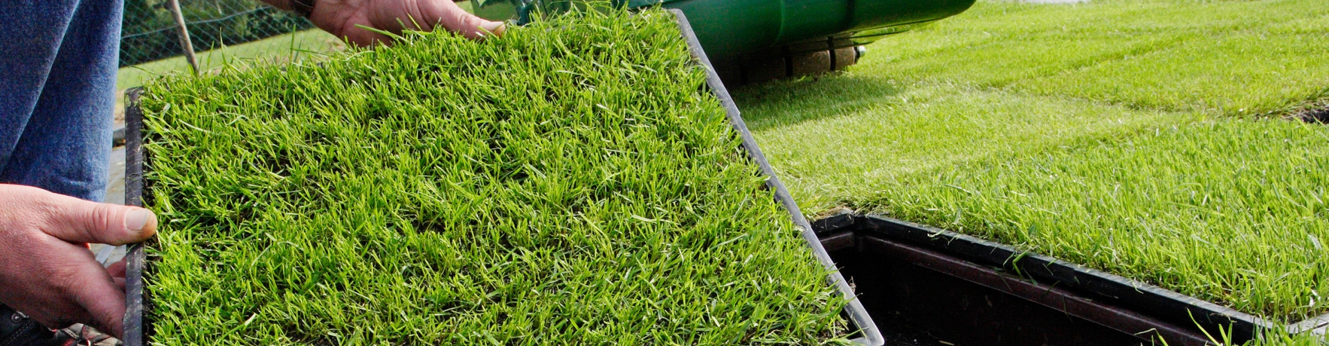 Turf trials