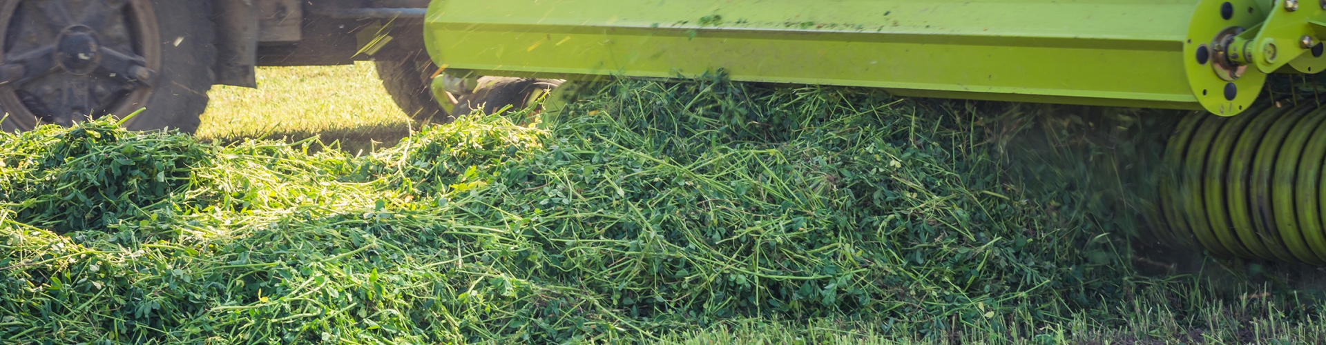 Silage