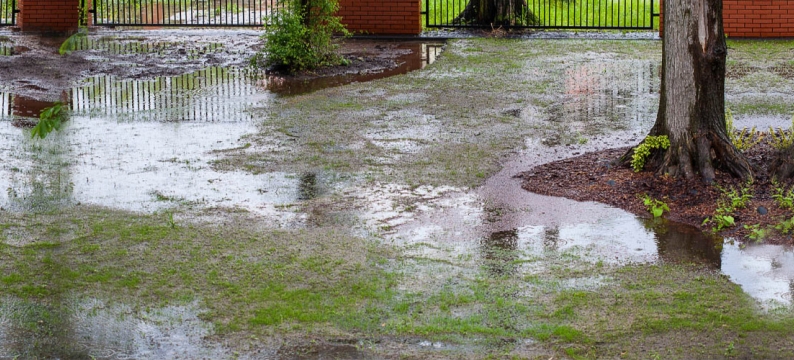 Landscaping Essential E10