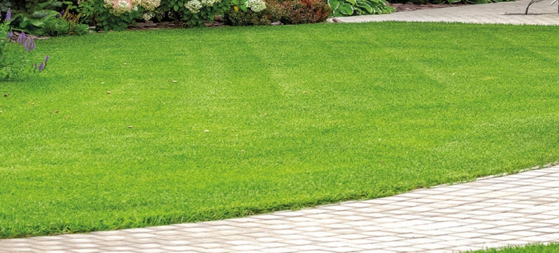 Landscaping Essential E1