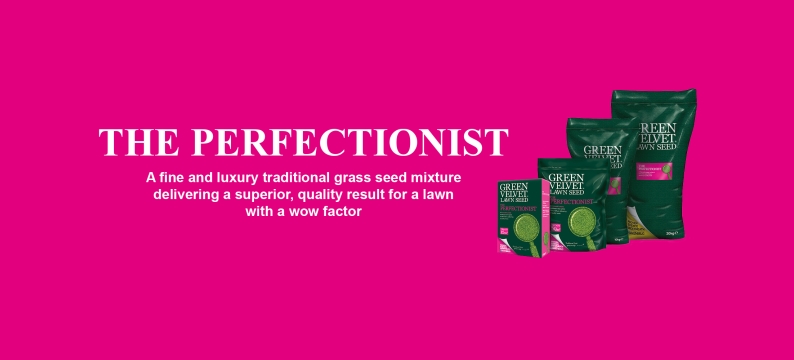 Homelawn Green Velvet Lawn Seed - The Perfectionist