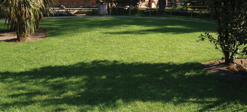Landscaping Essential E11