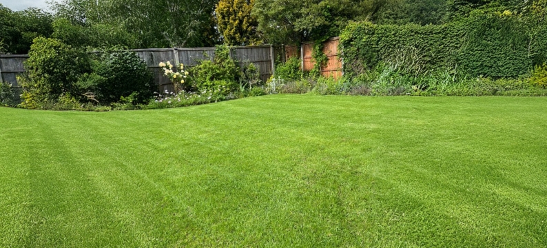 Landscaping Essential E3