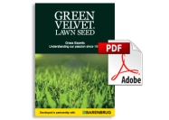 Green Velvet Catalogue