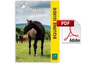 Equine Guide