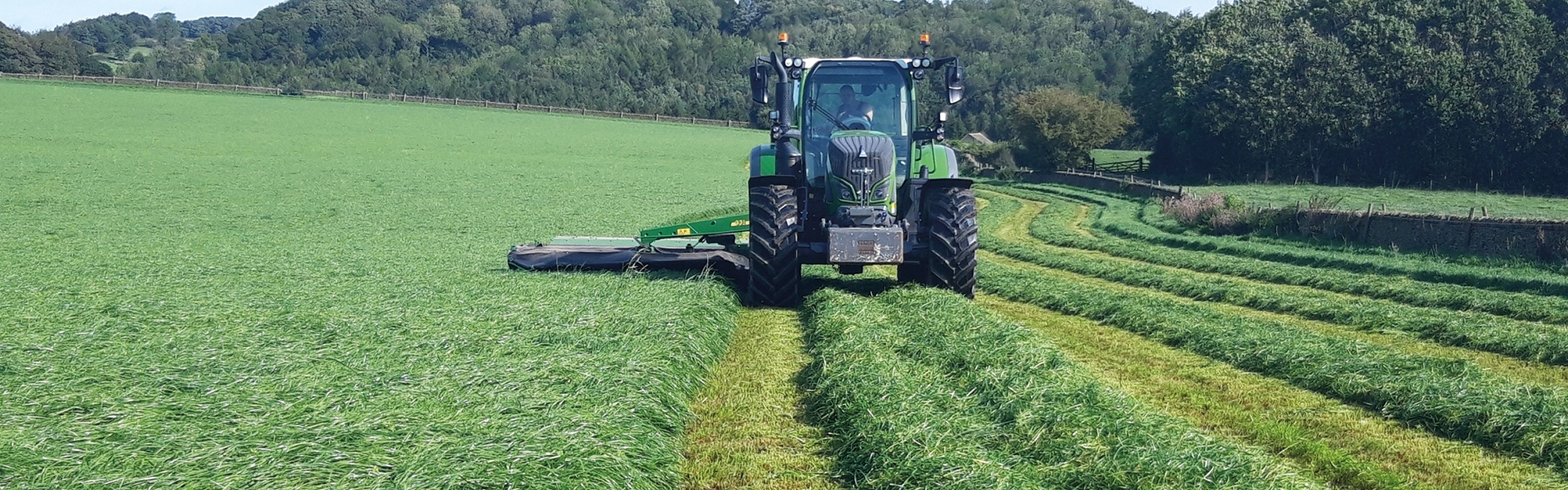 The Potential Benefits To Grass Header