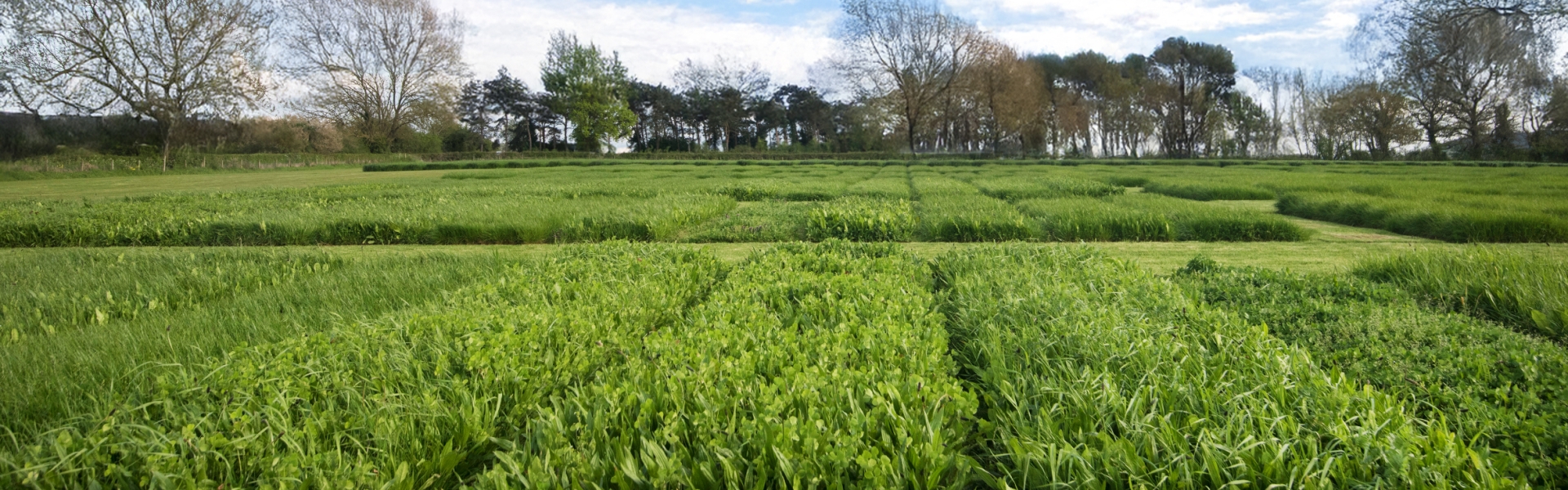 Cropvale