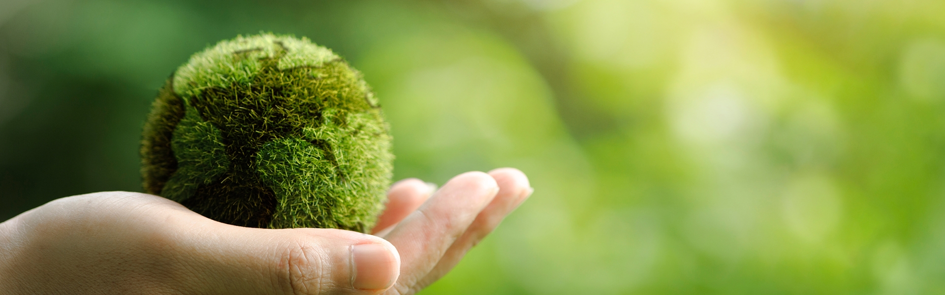 Sustainability
