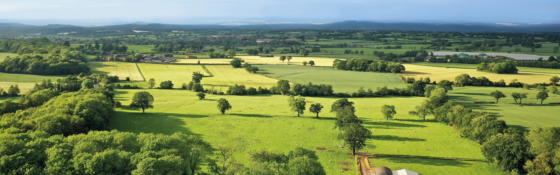 Agriculture