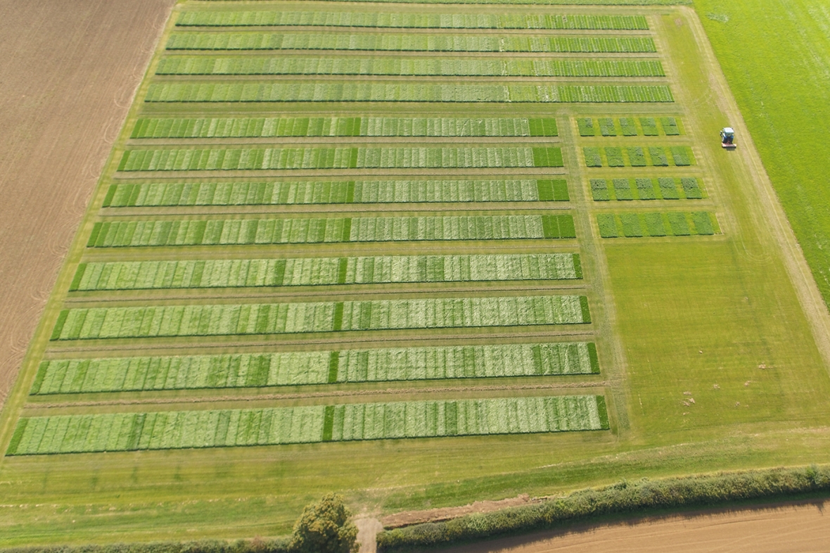 Cropvale