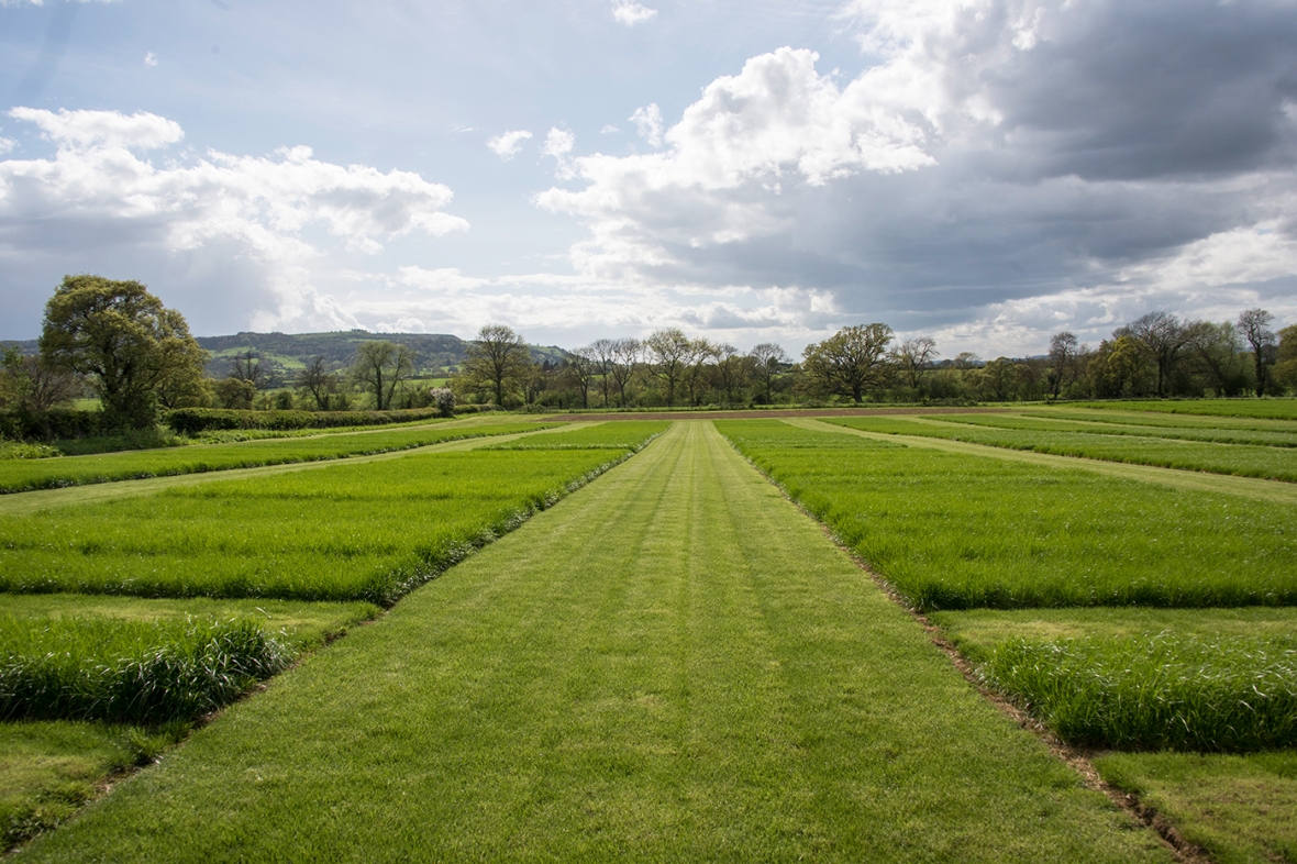Cropvale