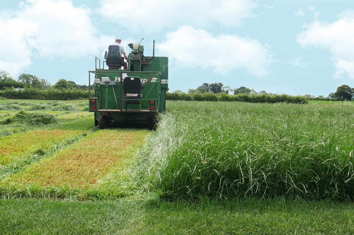 Cropvale