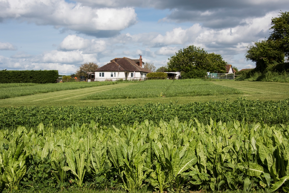 Cropvale
