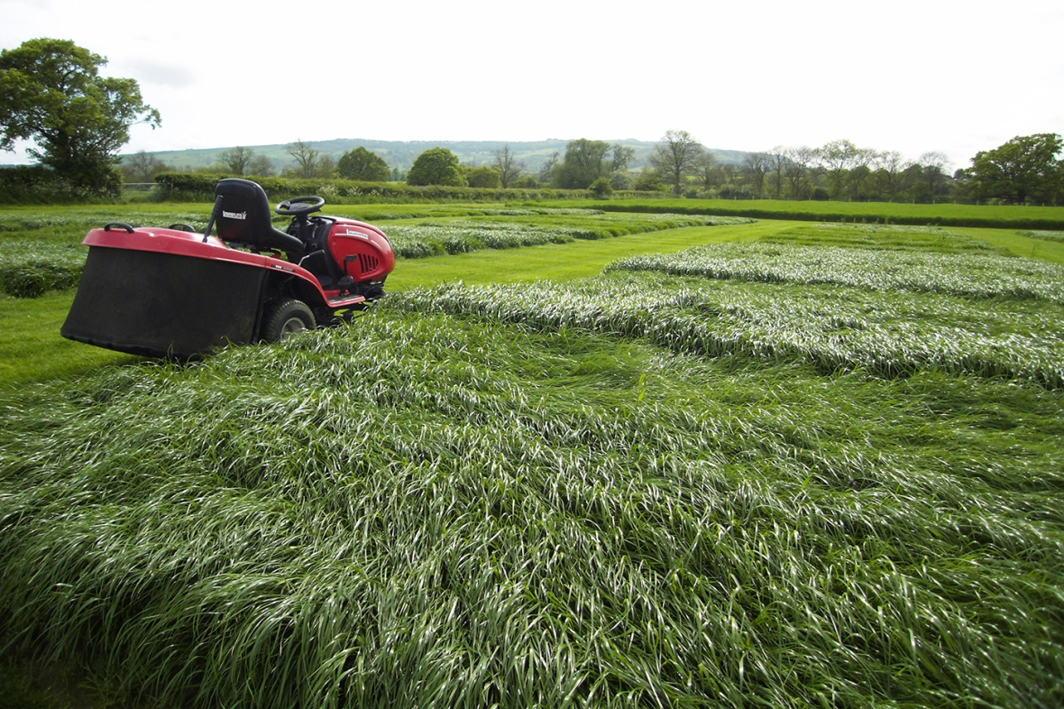 Cropvale