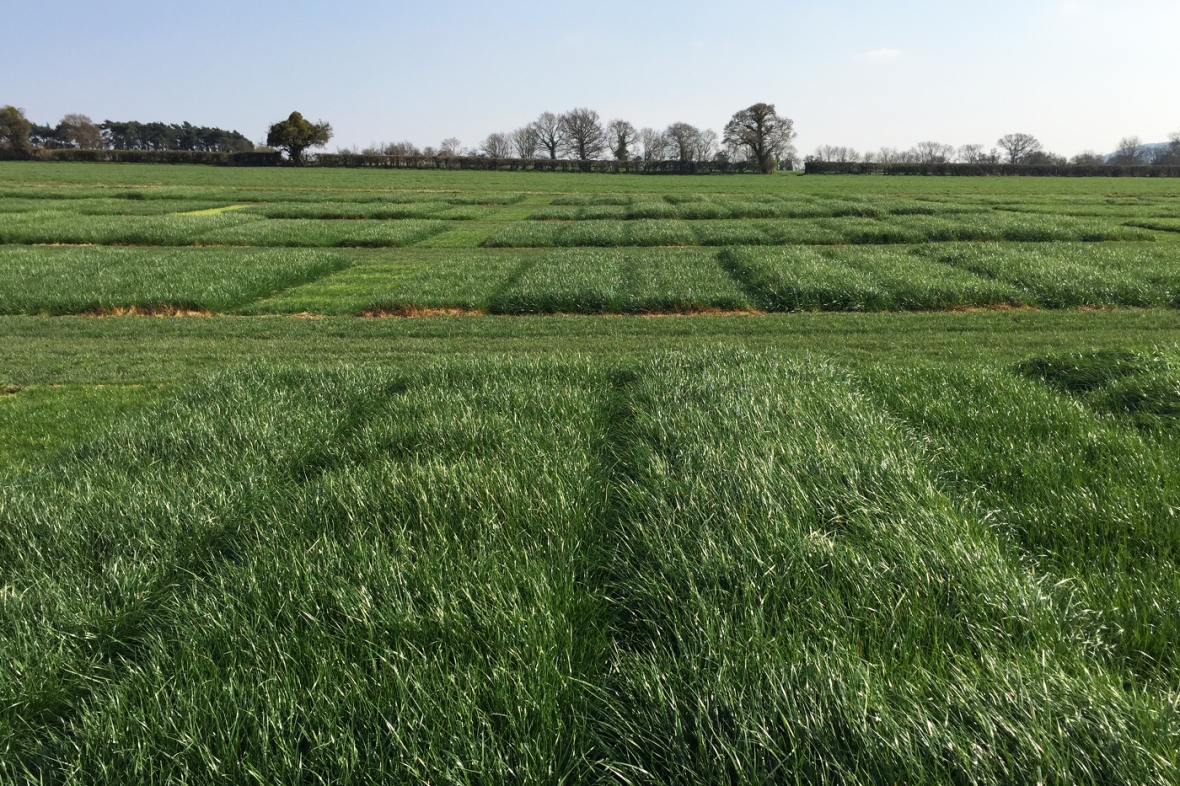 Cropvale