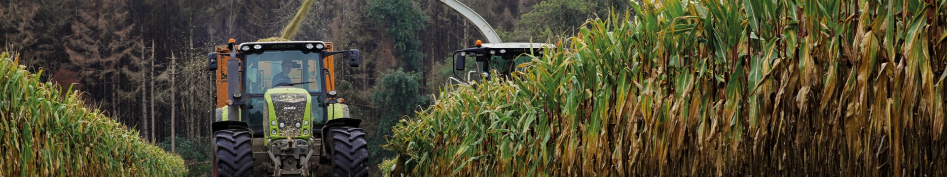 Cover Crops Products