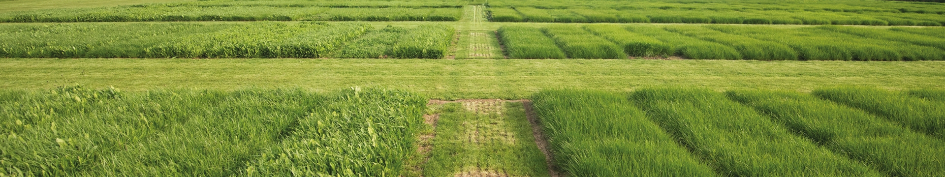 Agricultural Varieties