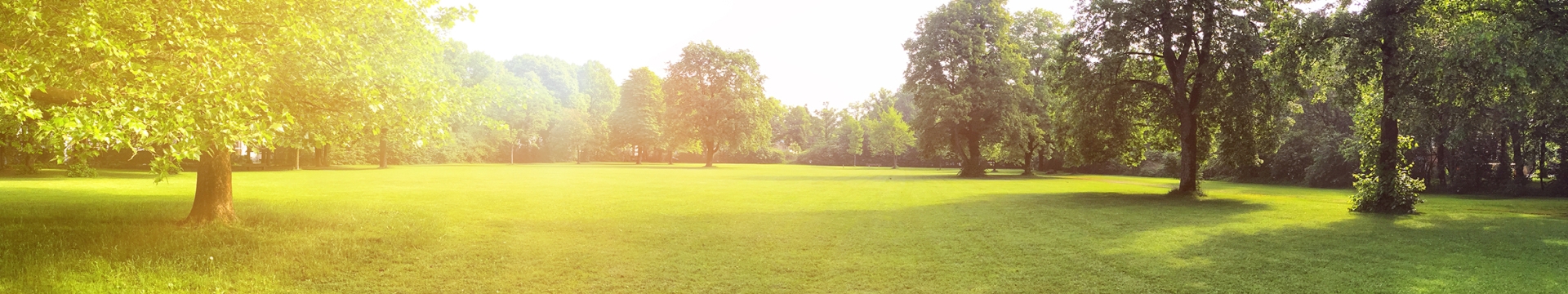 Landscaping Essential Header