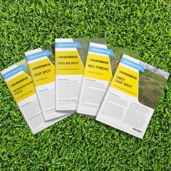 Grass Disease Fact files Sport
