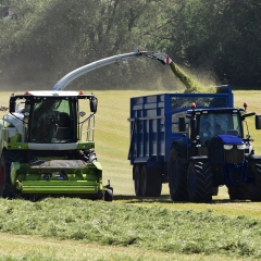 Silage