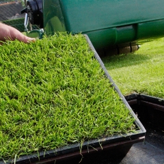 Turf trials